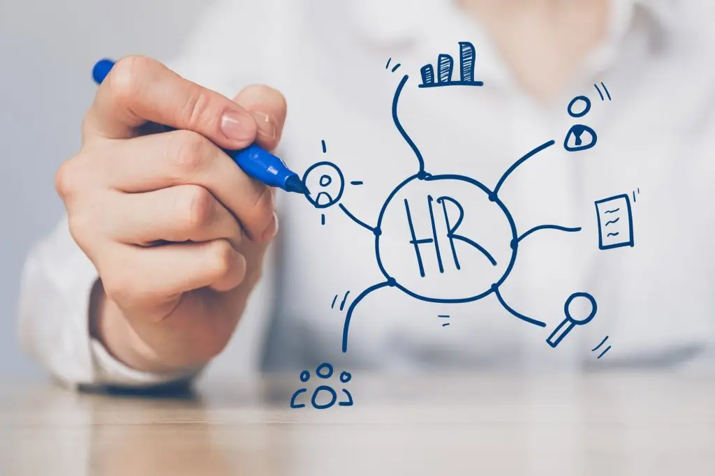 HR advice and HR service for SME employers
